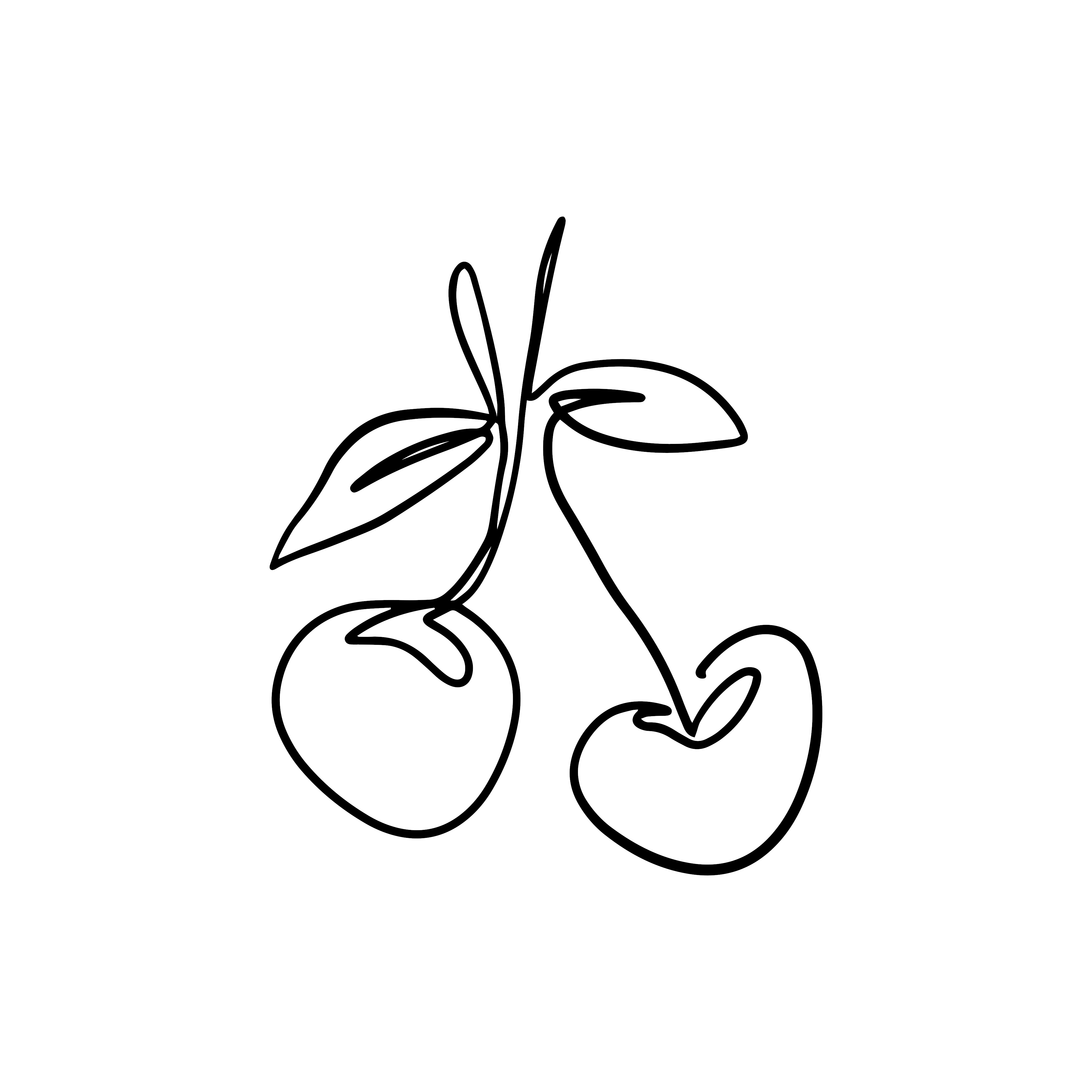 cherry illustration